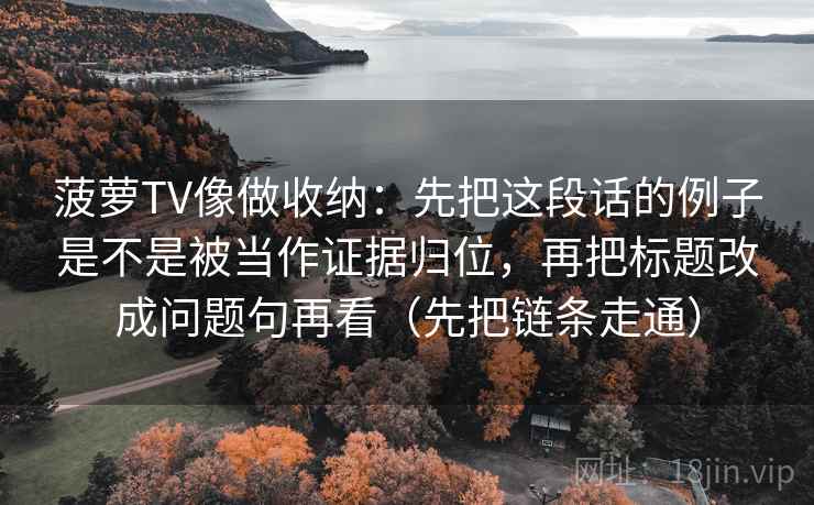 菠萝TV像做收纳：先把这段话的例子是不是被当作证据归位，再把标题改成问题句再看（先把链条走通）